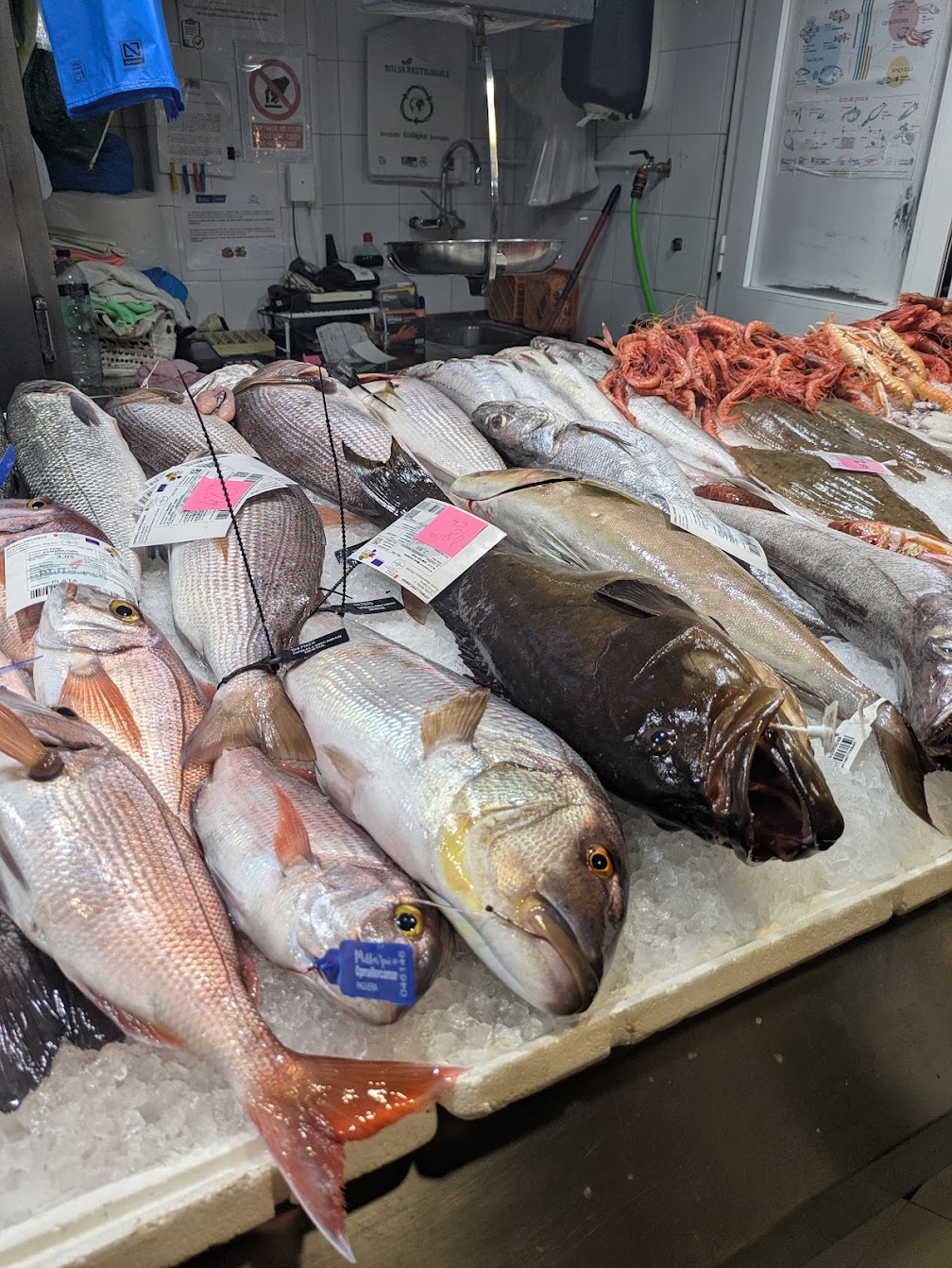 L'amour du poisson : marchés, saisons et guide pour bien le choisir