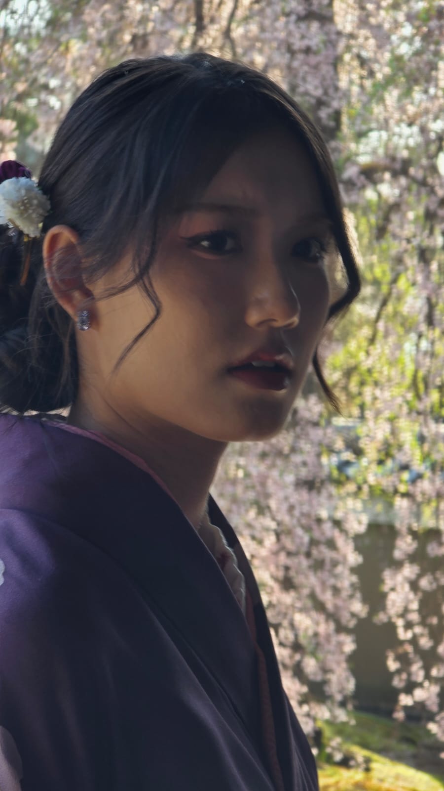Campagne japonaise : l'élégance du nécessaire