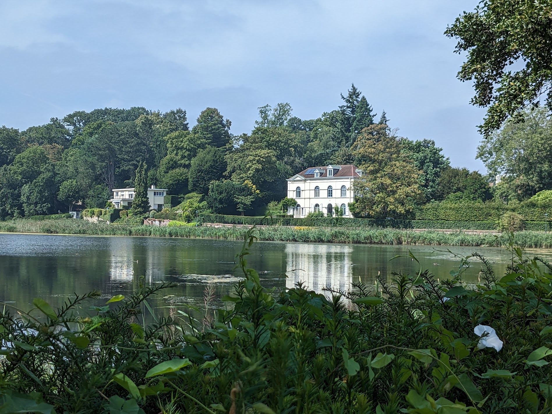 Watermael-Boitsfort: Green &amp; Bohemian Oasis